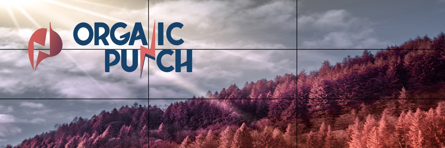 OrganicPunch's profile banner image