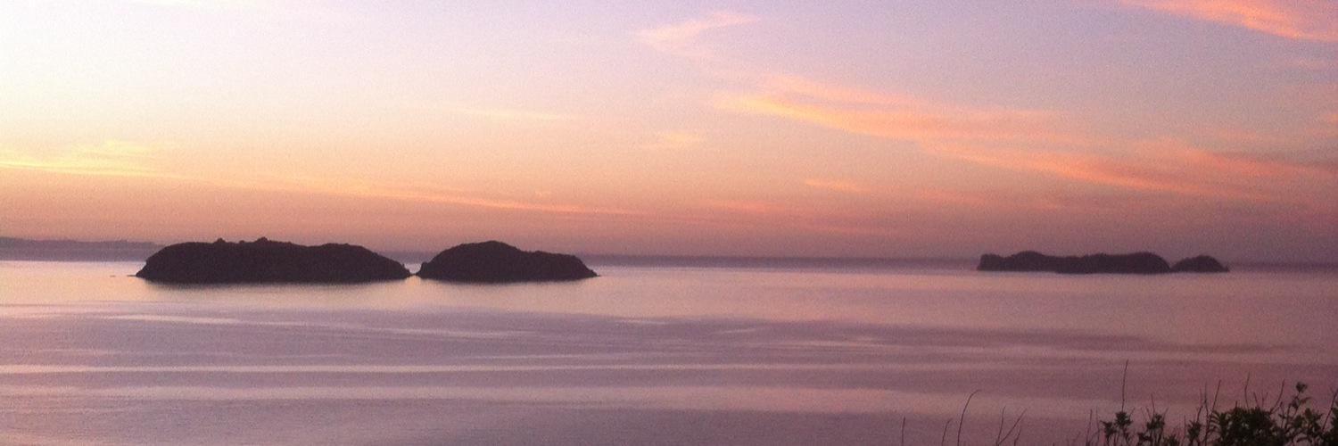 Charlotte Duck banner