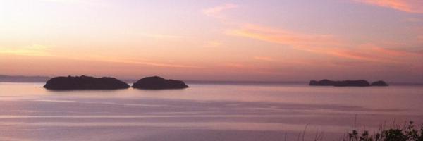 Charlotteduck Profile Banner