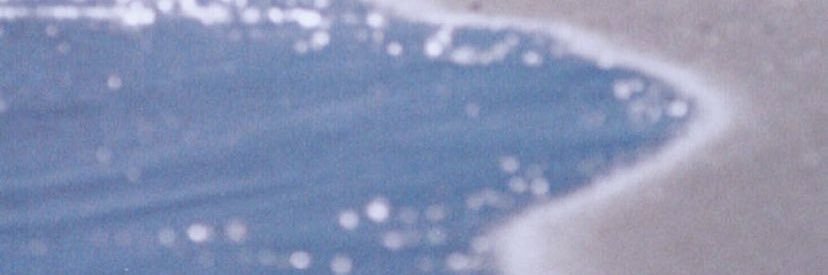 reiss_leandra's profile banner image