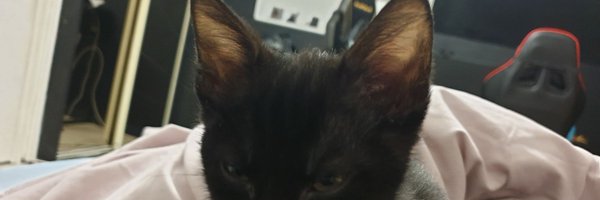 Healisos Profile Banner