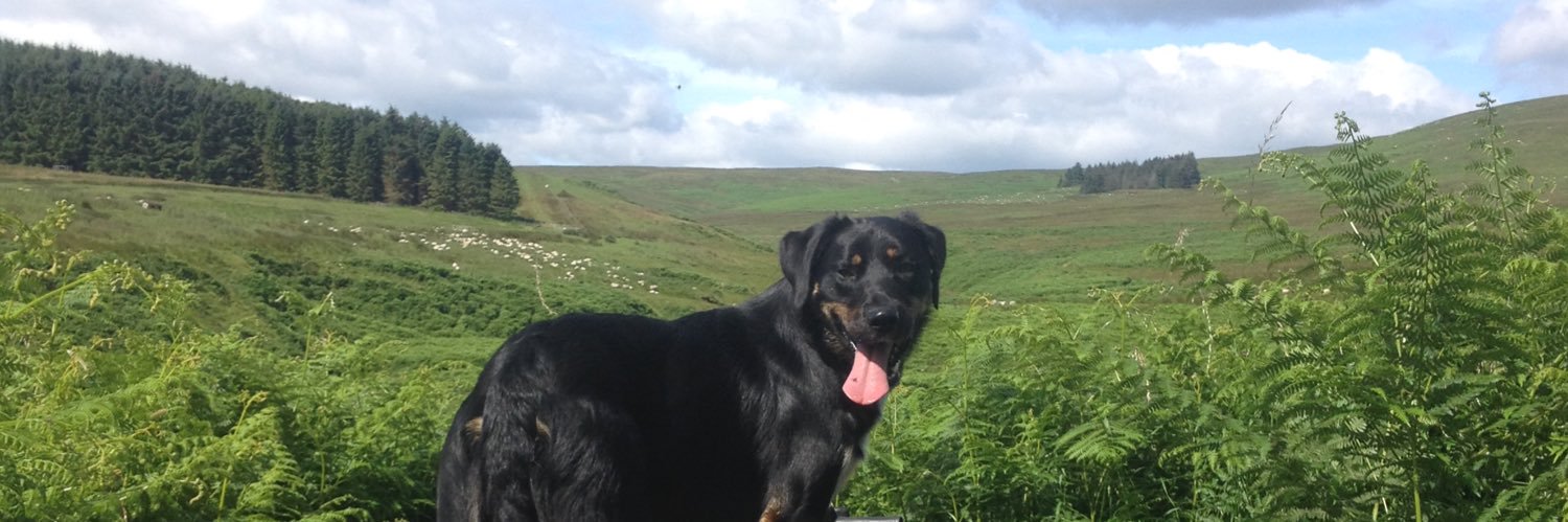 George Sordy & Sons banner