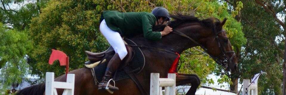 NDBSPORTHORSES's profile banner image