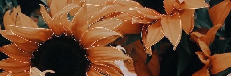 Lunaire_Off's profile banner image