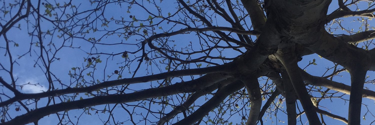 marteramuz's profile banner image