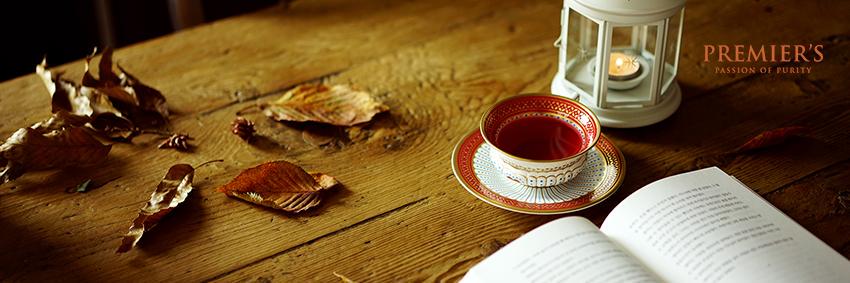 Premierstea_Kor's profile banner image