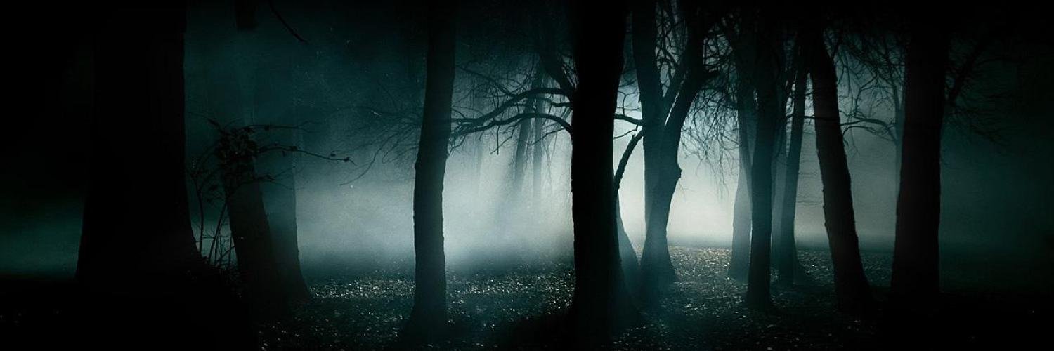 Hasankycu's profile banner image