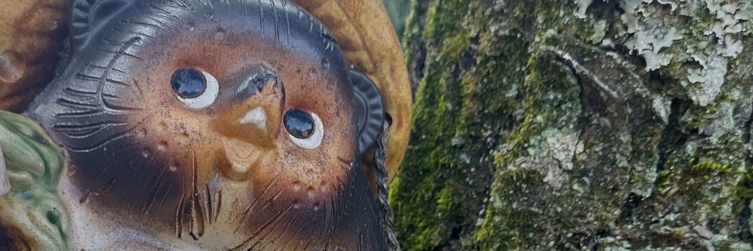 もる山もいん banner