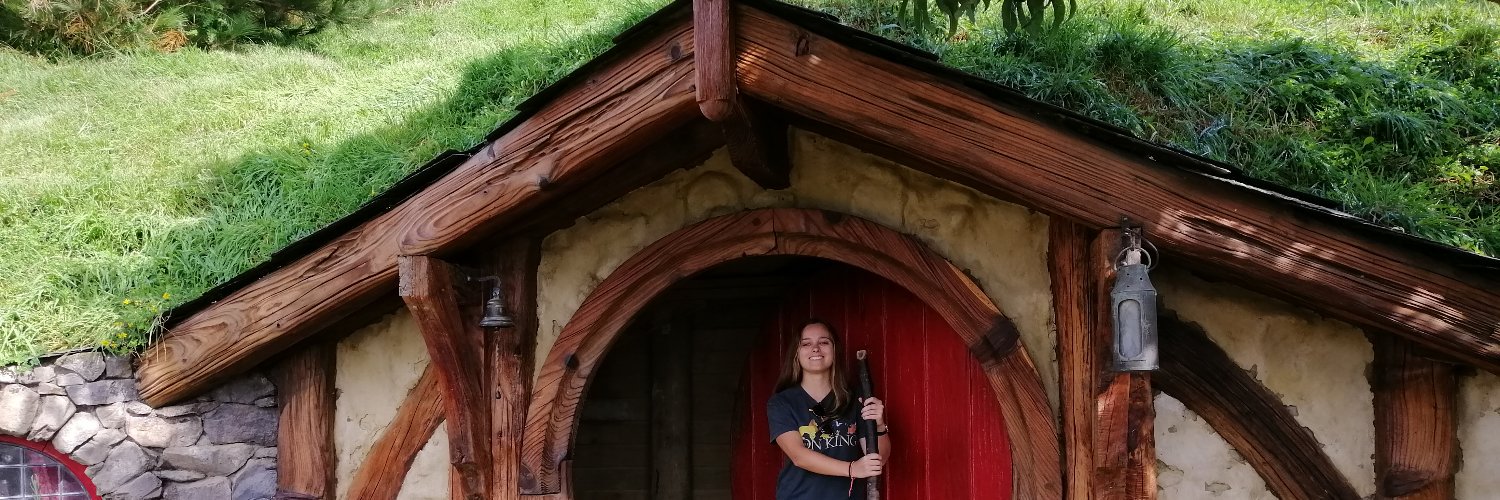 AliLopezGeraudi's profile banner image
