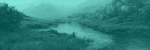 Wlckad Stcoks banner
