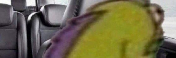 Depressed packers fan banner