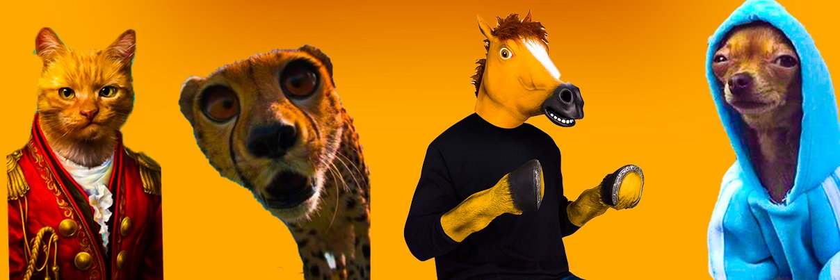 bytepets's profile banner image