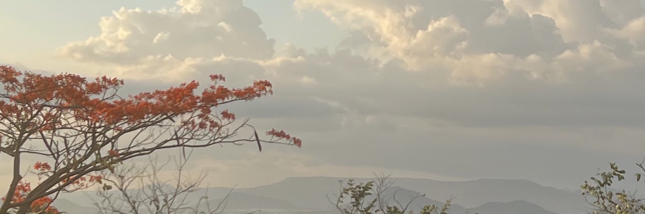 TanviShende's profile banner image
