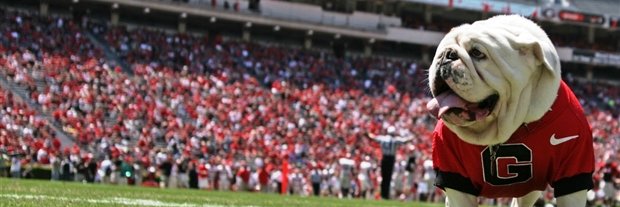 MLBrehmer's profile banner image