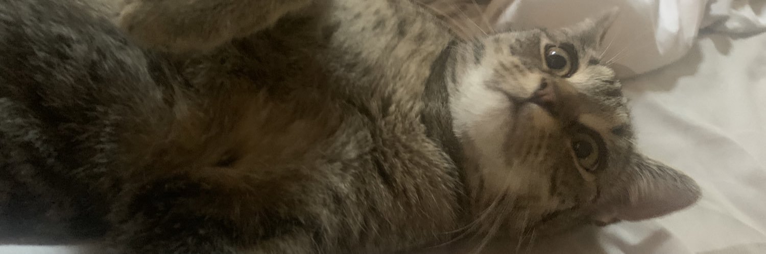 Jaye (they/she) 🏳️‍⚧️🏳️‍🌈 banner