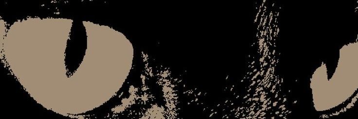 LDonje's profile banner image