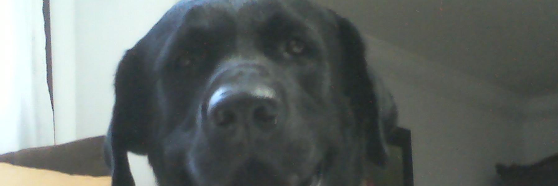 Fer_Garx's profile banner image