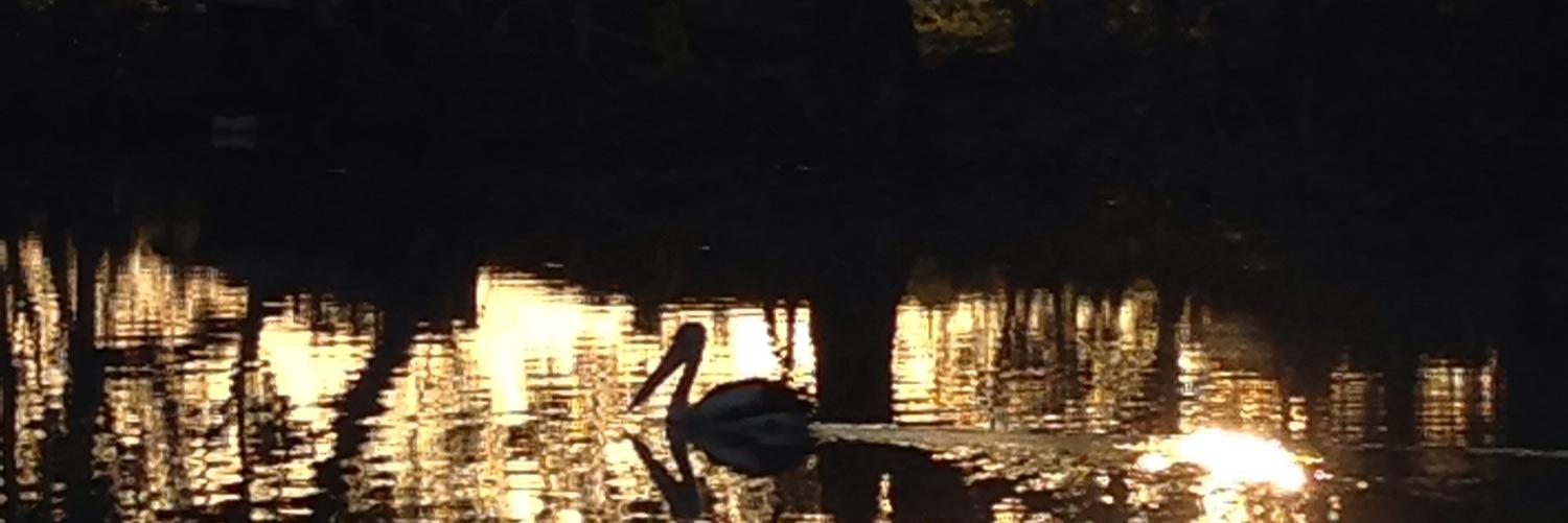 Jim Constantin banner