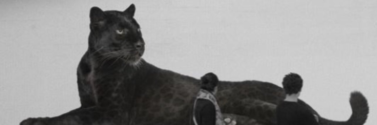thejohncoxhead's profile banner image