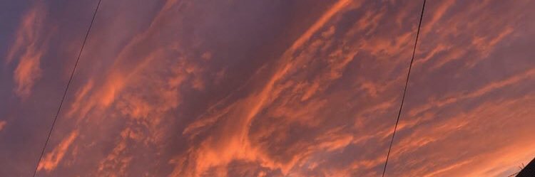 zara_chivers's profile banner image