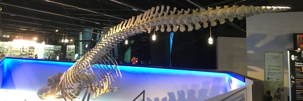 Benoît Aliaga banner