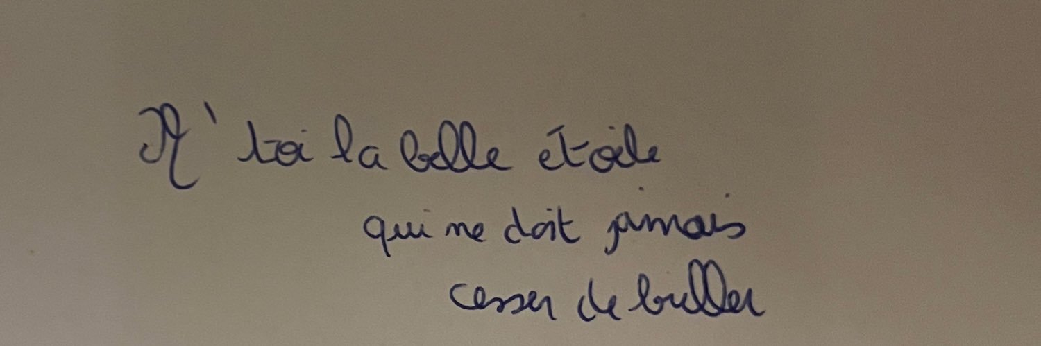 marinette 🪷 banner