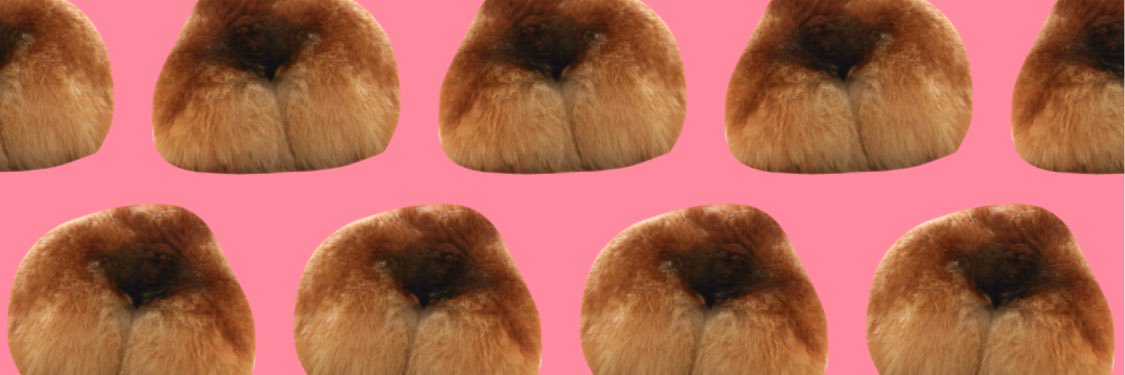 suakihiro's profile banner image