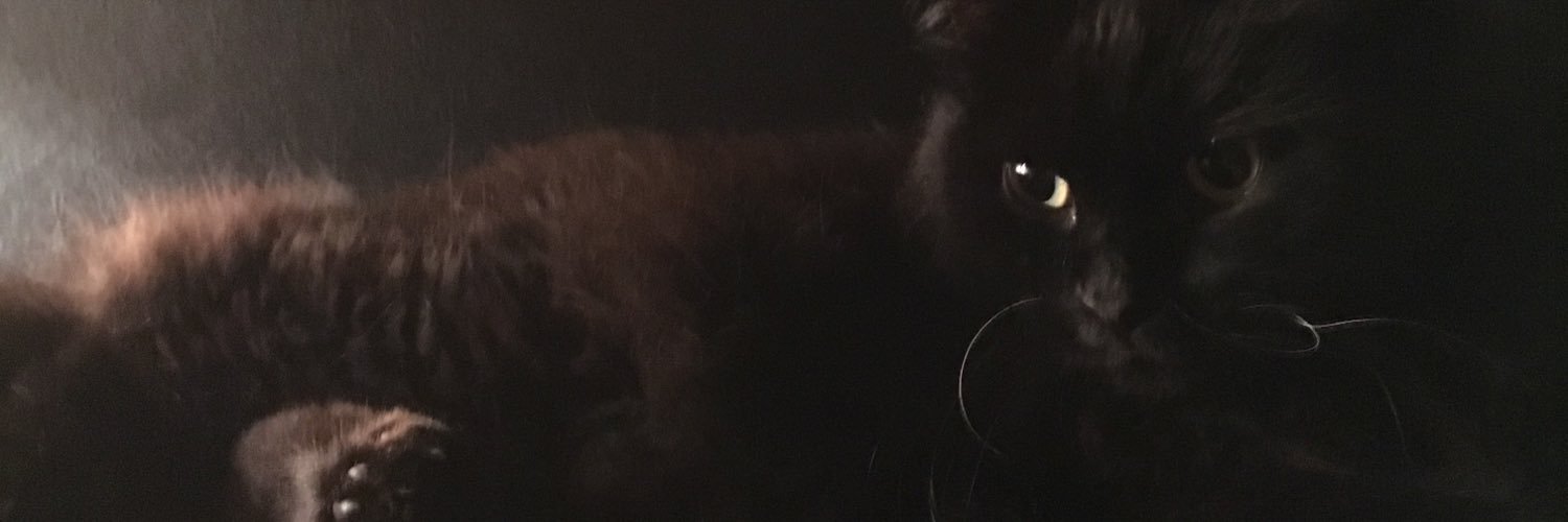 XeKnight's profile banner image