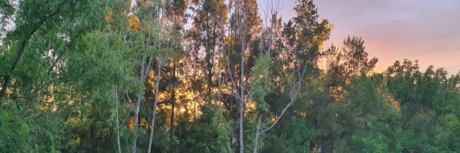 🛡🍺 𝕏 ʍǟʊʀʊֆǟʊʀʊֆ 𝕏🍺🛡🖐️ banner