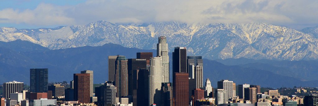 dominicbonaker's profile banner image
