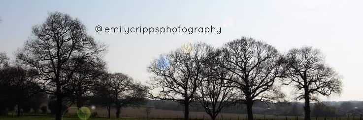 Emily Cripps banner