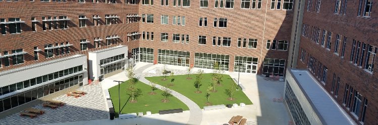 Alicia Stevenson banner