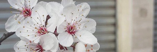 theresharchive Profile Banner