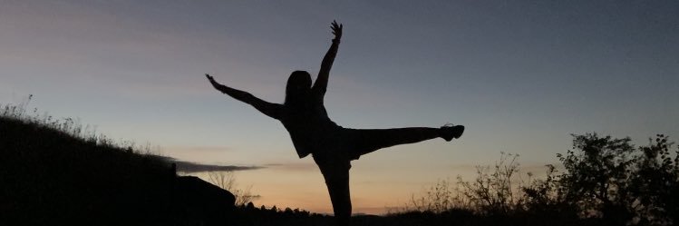 VirginiaArroyo4's profile banner image