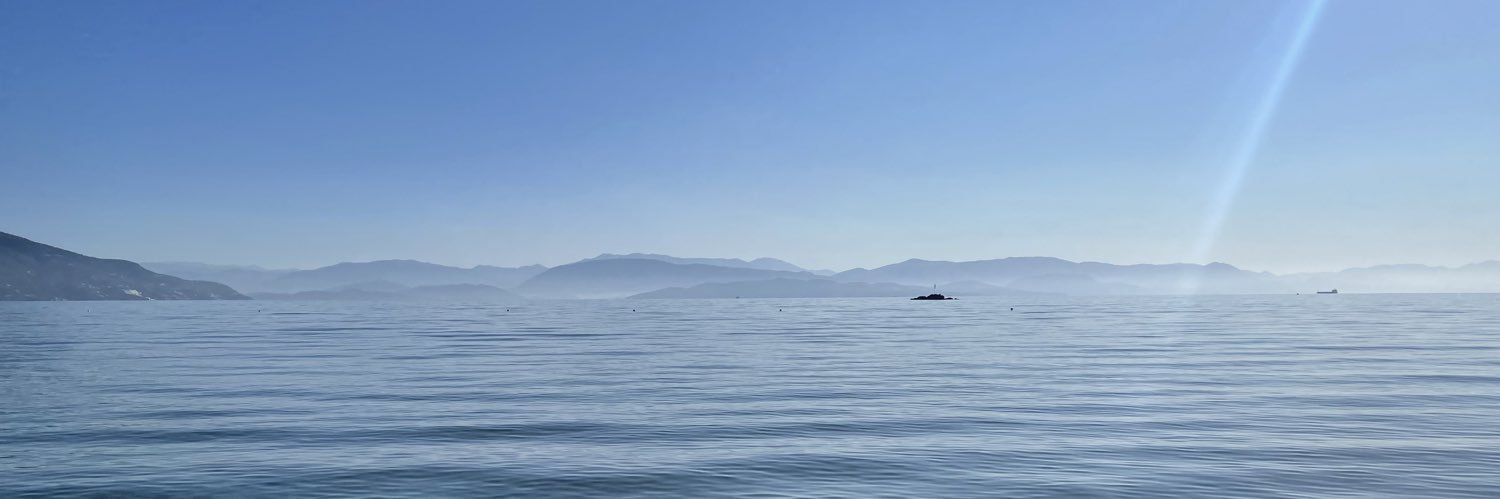 Alfie Stronge banner