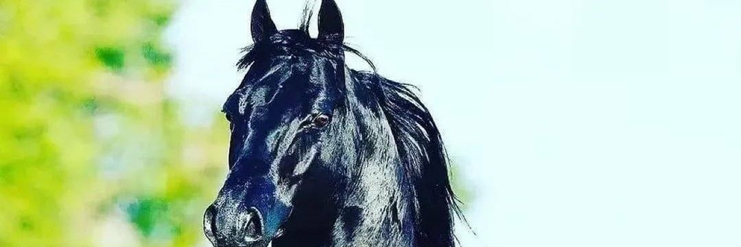 oyenkum's profile banner image