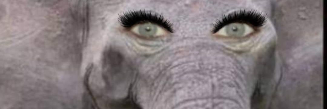 LucasDValle's profile banner image