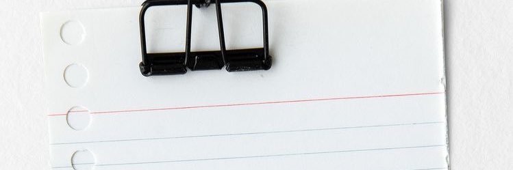 RosaneBorg's profile banner image