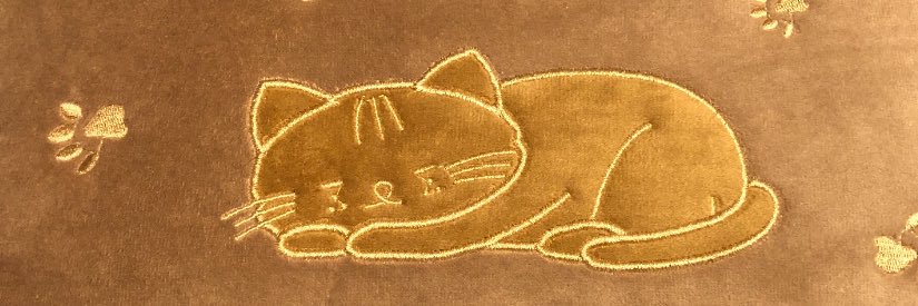 mymo banner