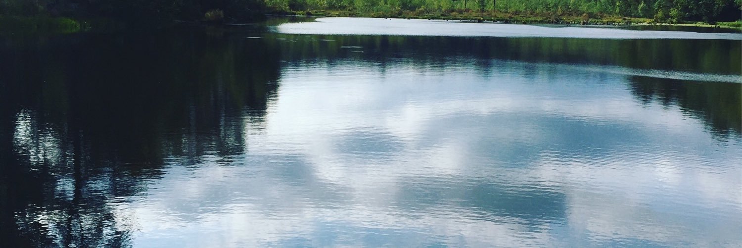 RonaldMeltzer's profile banner image