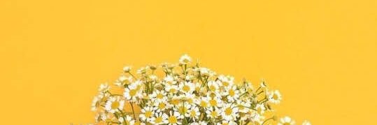 SpaceHooli's profile banner image