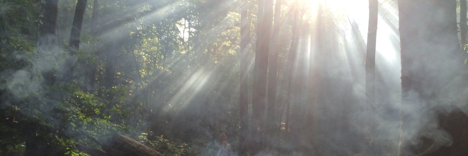 MrsBakerAP's profile banner image