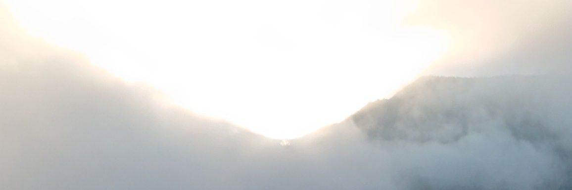 ヒロ banner