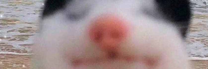 goobieguez's profile banner image