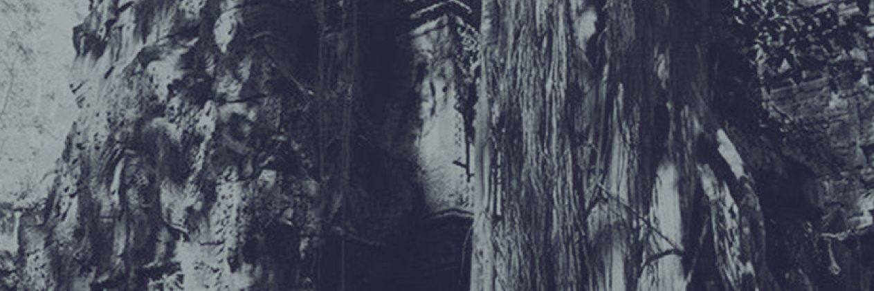 apricotwolf_'s profile banner image