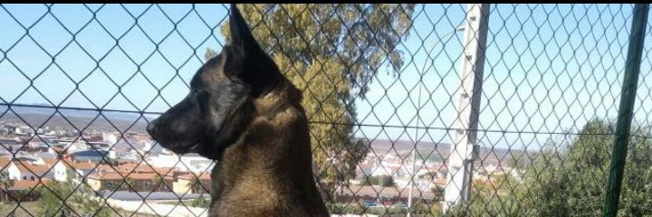 AdeRodman's profile banner image