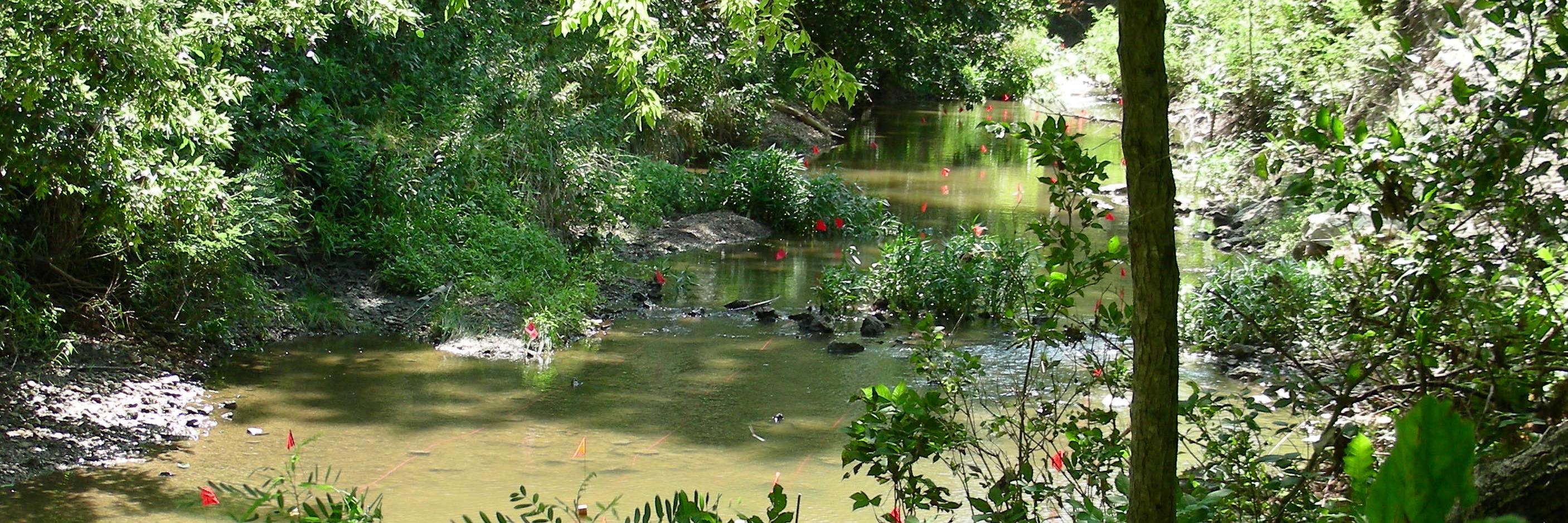 Andrea Brookfield banner