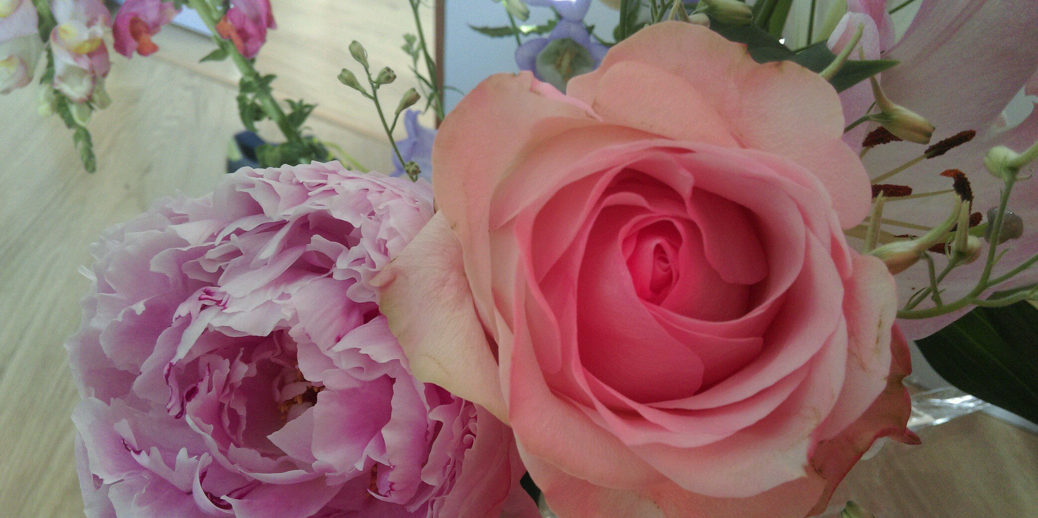 JudithSlegers's profile banner image