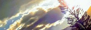 RDBU77's profile banner image
