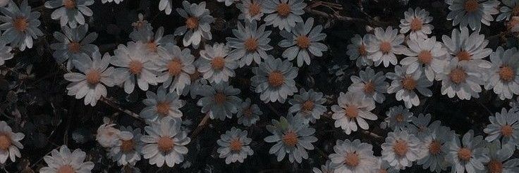 esmeraldamarson's profile banner image